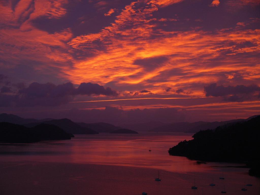 Okiwa Bay Lodge Picton Dış mekan fotoğraf